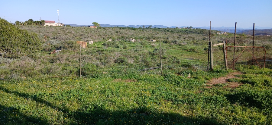 3 Bedroom Property for Sale in Uitenhage Rural Eastern Cape